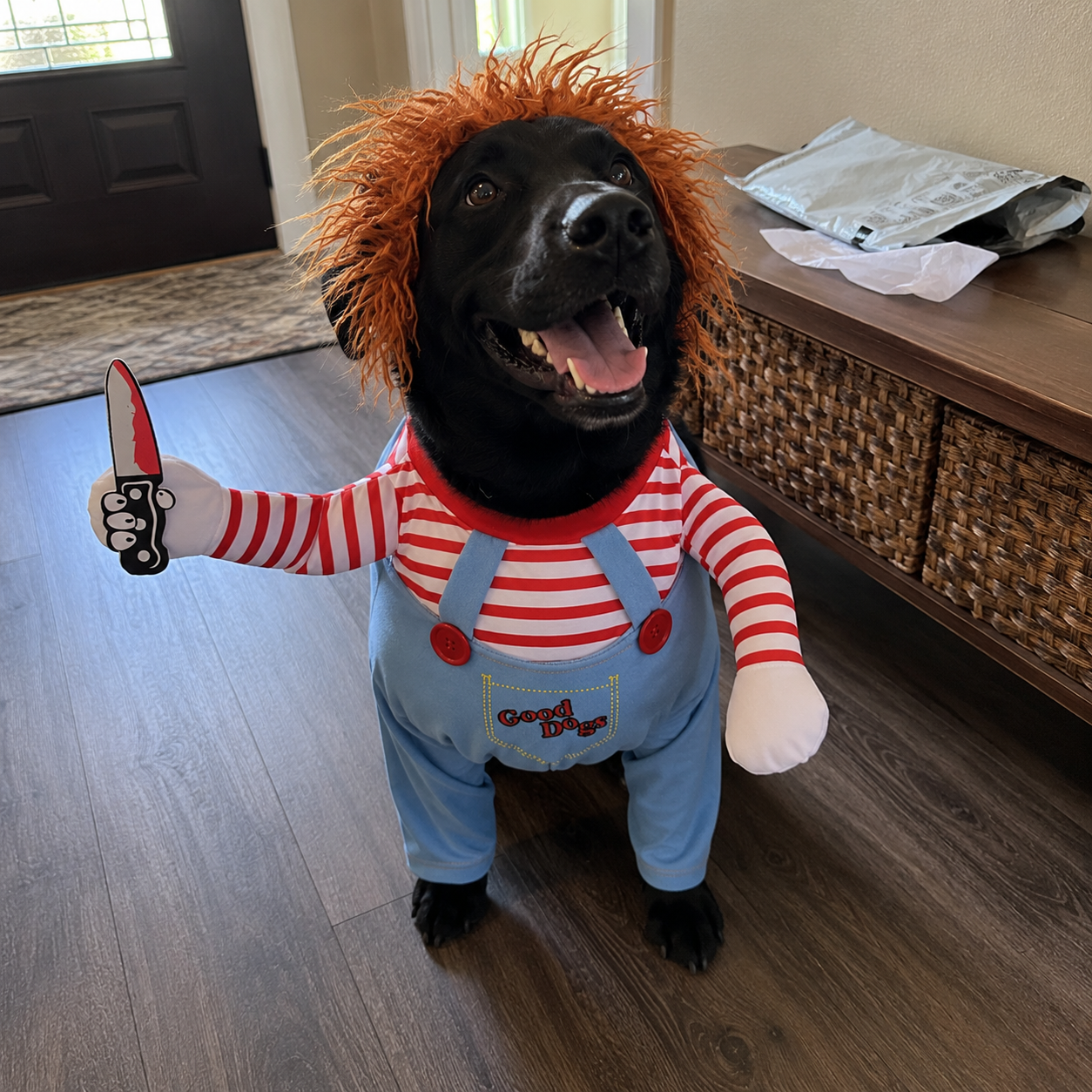 Dog Costume – Funny Halloween Pet Outfit with Wig & Knife for Small, Medium & Large Dogs