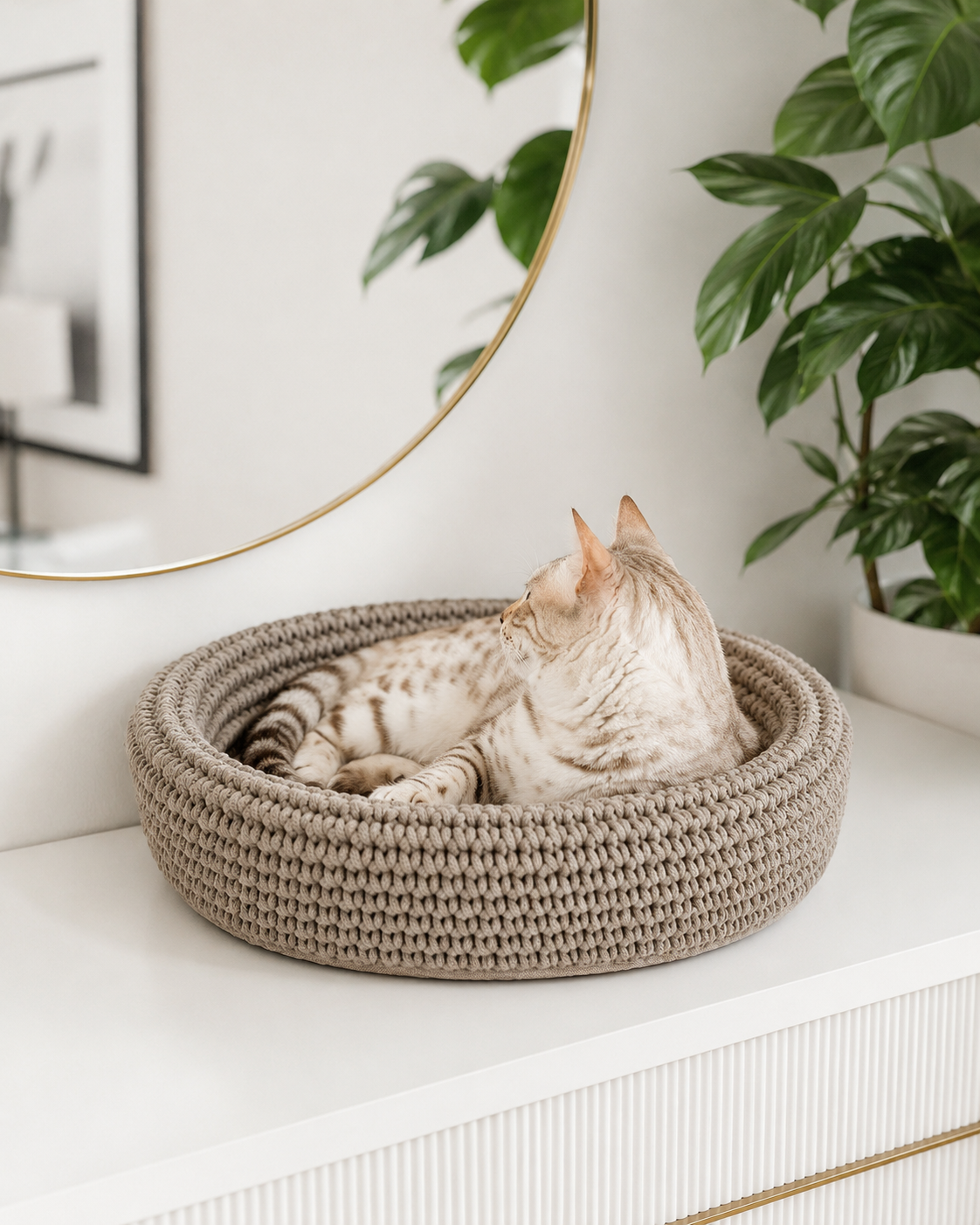 Cat Bed with Soft Cushion Base | Hand-Woven Design for Cozy Comfort