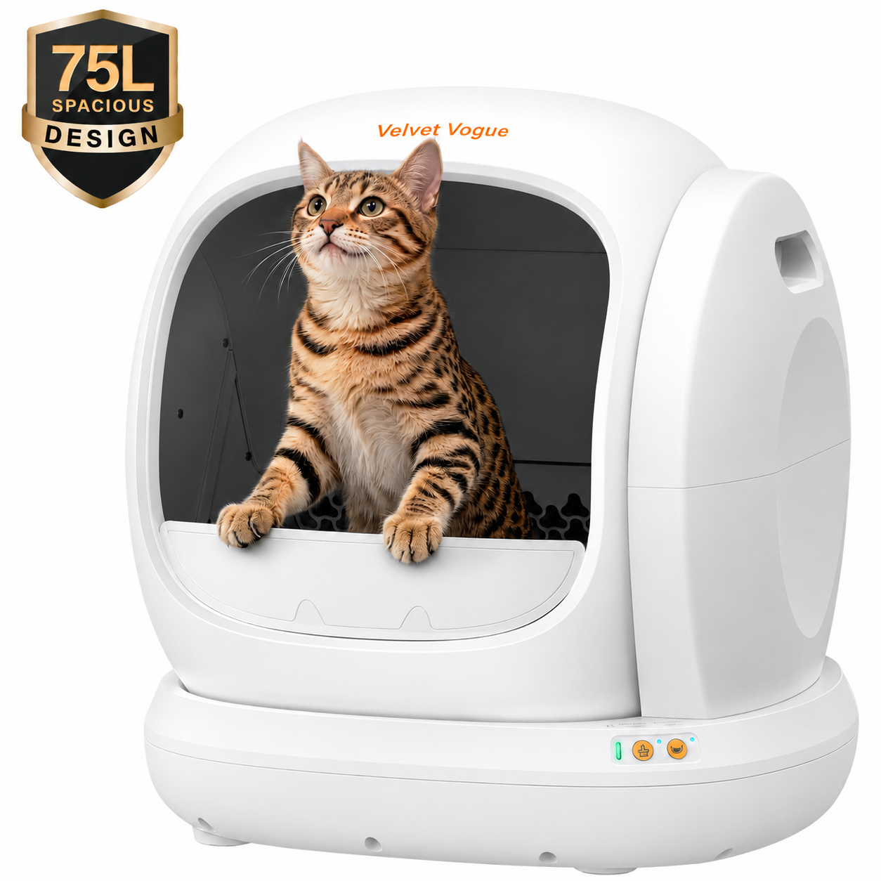 Self-Cleaning Cat Litter Box