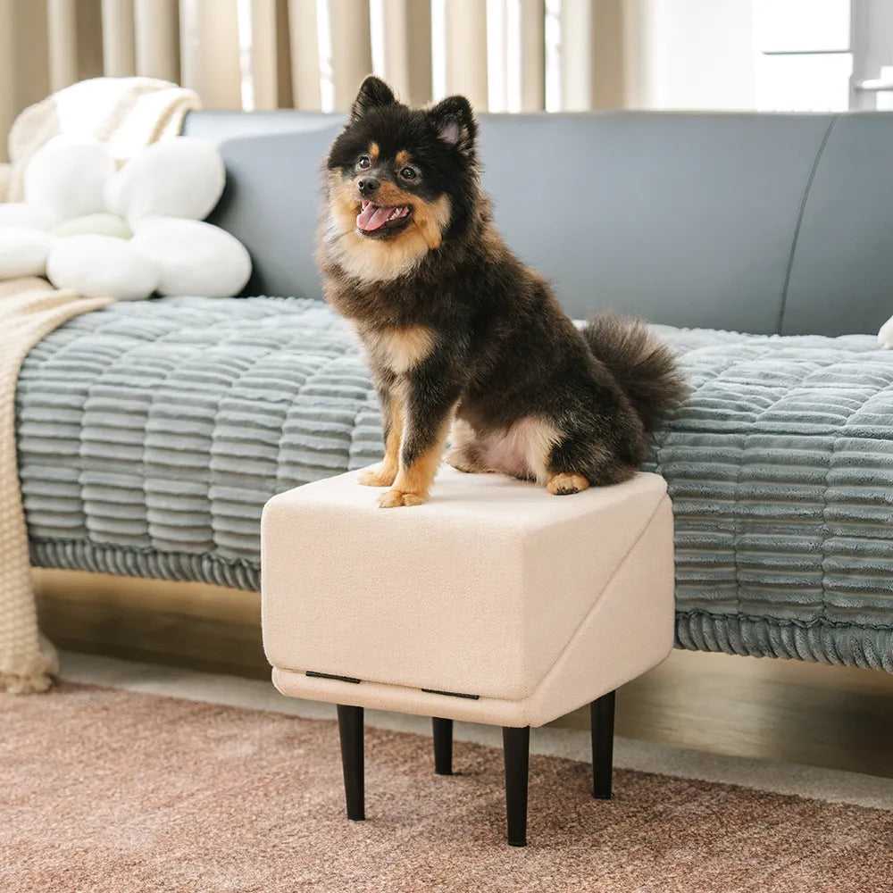 2-in-1 Dog Ramp for Couch & Bed – Non-Slip Convertible Pet Step Stool for Small & Senior Dogs
