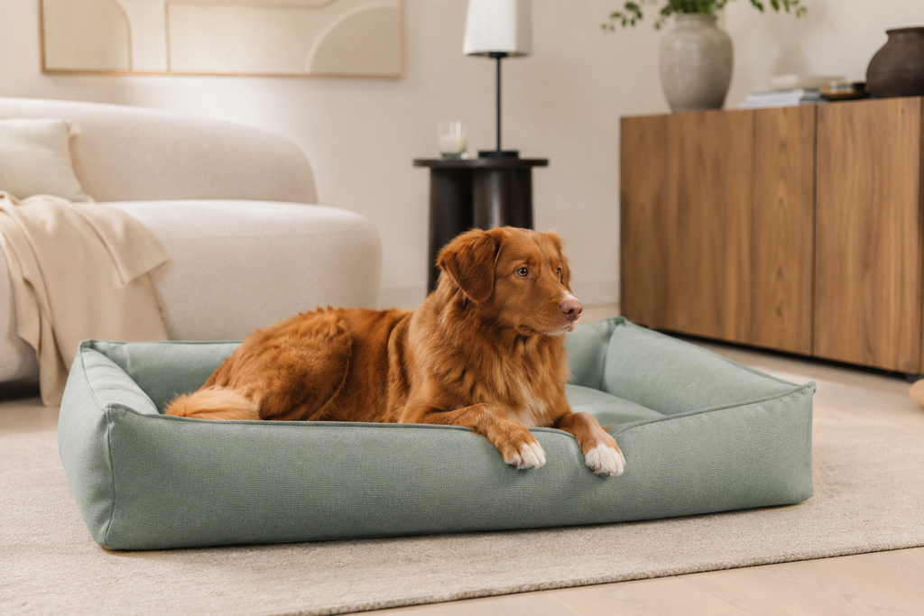 Spacious Dog Bed | Large Dog Bed with Hypoallergenic Foam Filling