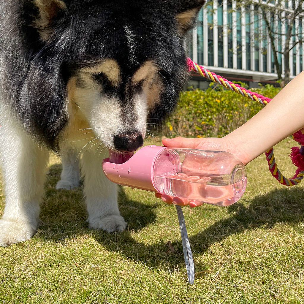 Portable Dog Water Bottle – 14 oz Leak-Proof Bottle with Built-In Bowl