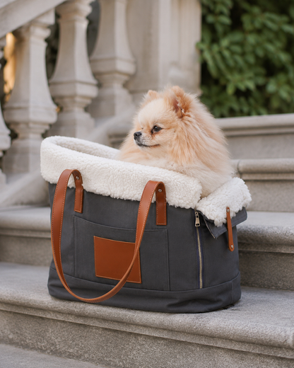 Stylish Dog & Cats Carrier Bag with Removable Lining