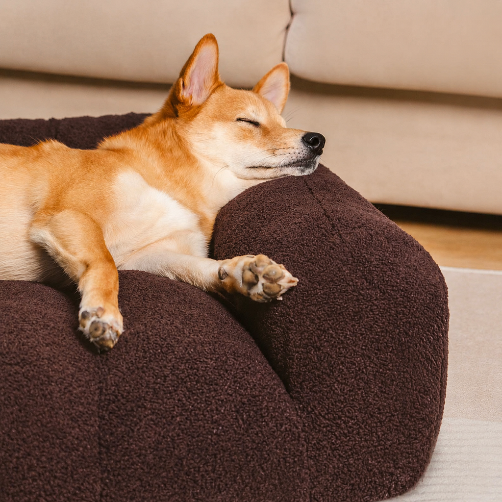 Orthopedic Dog Sofa Bed with Headrest – Teddy Fleece Bed for Large Breeds