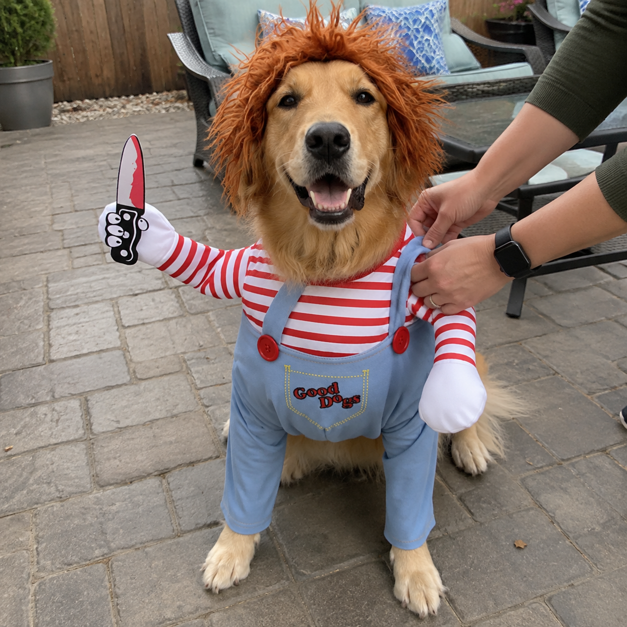 Dog Costume – Funny Halloween Pet Outfit with Wig & Knife for Small, Medium & Large Dogs