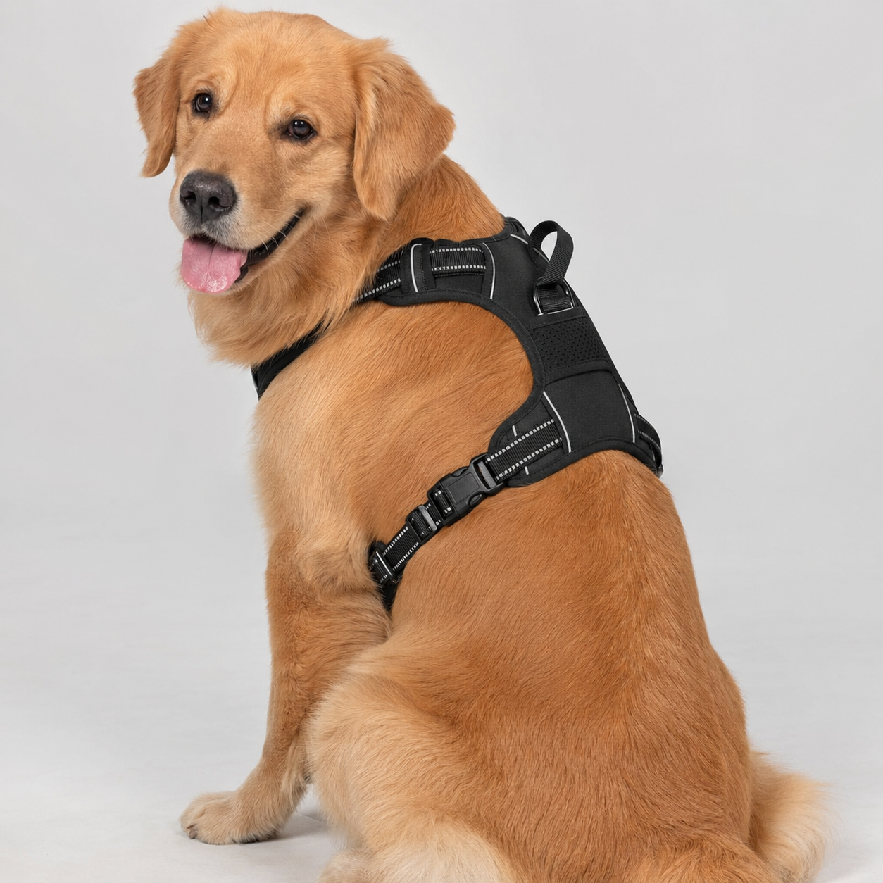 No Pull Dog Harness with Handle – Adjustable Padded Comfort Vest for Small, Medium & Large Dogs
