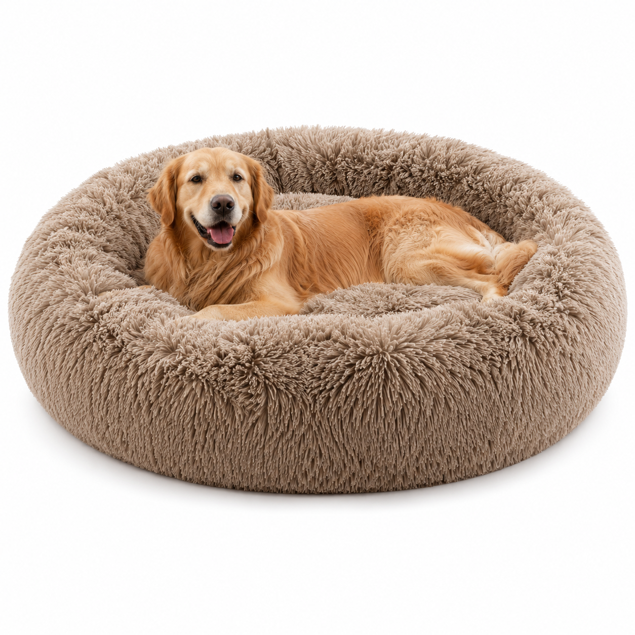 Comfort Haven | Large Dog Bed with Soft Memory Foam for Peaceful Sleep
