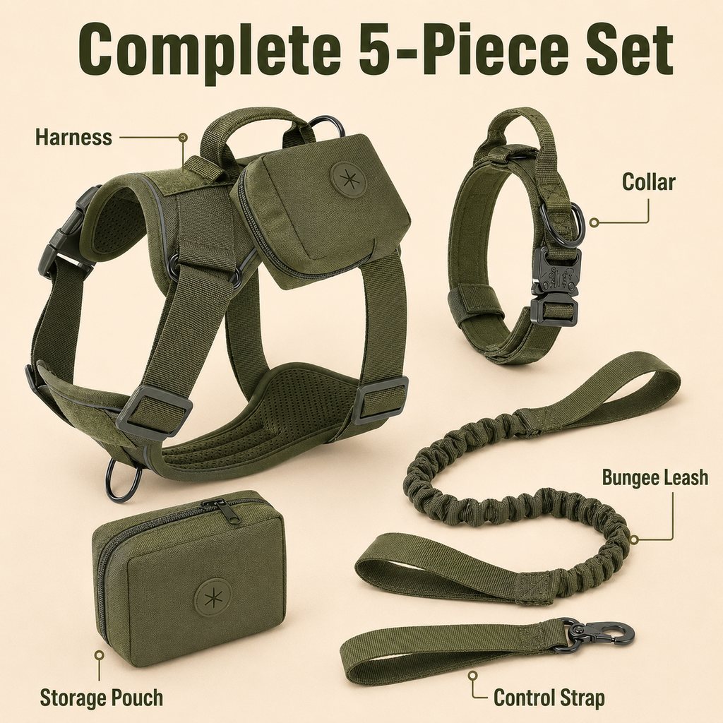 5-Piece Tactical Dog Harness Set for Hiking & Training - Better Control for Strong Dogs