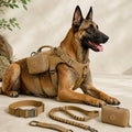 5-Piece Tactical Dog Harness Set for Hiking & Training - Better Control for Strong Dogs