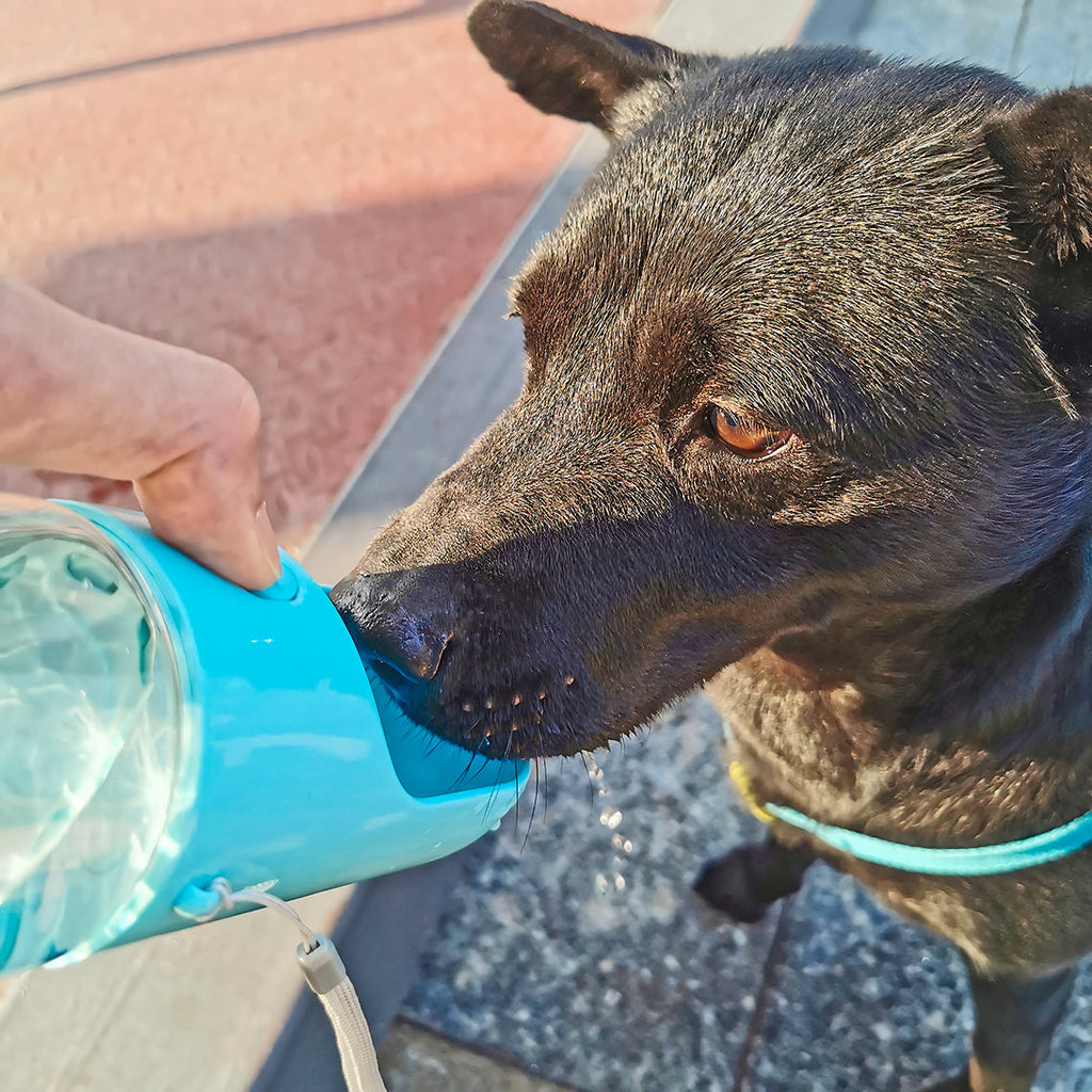 Portable Dog Water Bottle – 14 oz Leak-Proof Bottle with Built-In Bowl - view 4