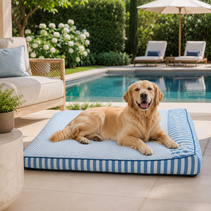Cooling Orthopedic Dog Bed | Large Design with Joint Support & Breathable Fabric for Ultimate Comfort