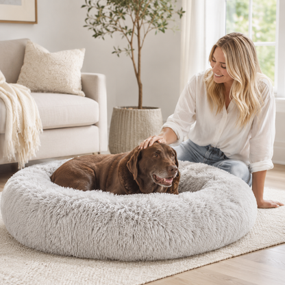 Comfort Haven | Large Dog Bed with Soft Memory Foam for Peaceful Sleep