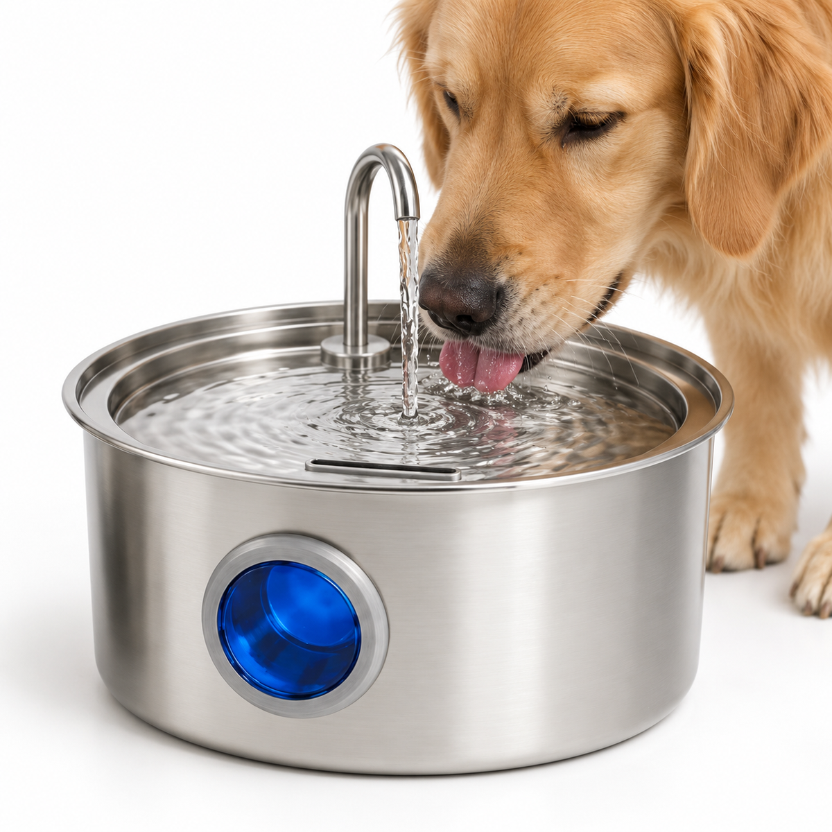 Stainless Steel Dog Water Fountain