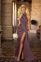 Aricia