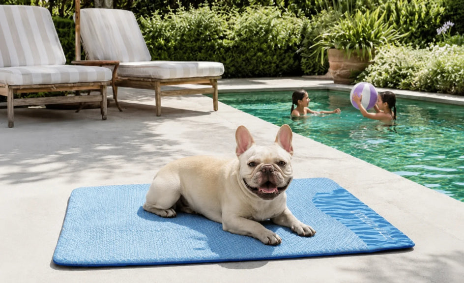 Beat the Heat