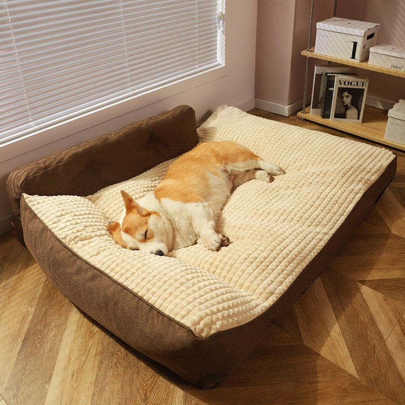Comfort Haven | Large Dog Bed with Neck Support & Thickened Base | Cozy Design for Year-Round Comfort 9