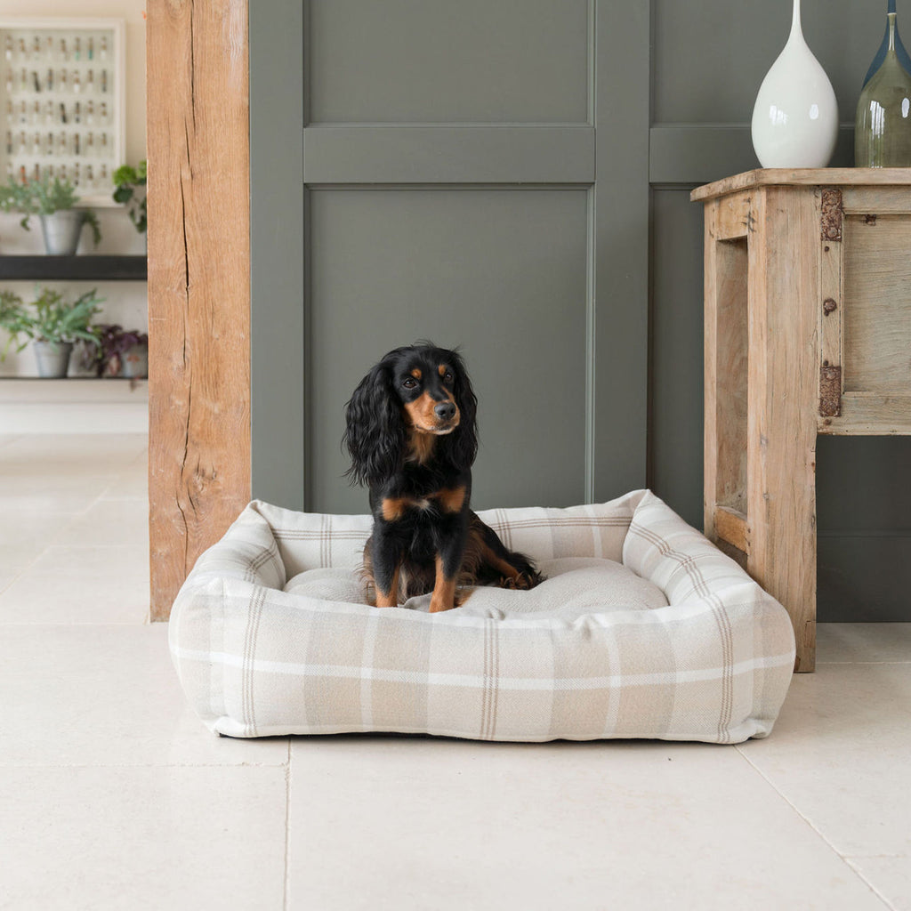 Cozy Box Bed | Dog Bed with Removable Cover & Soft Sides | Ultimate Comfort for Pets 0
