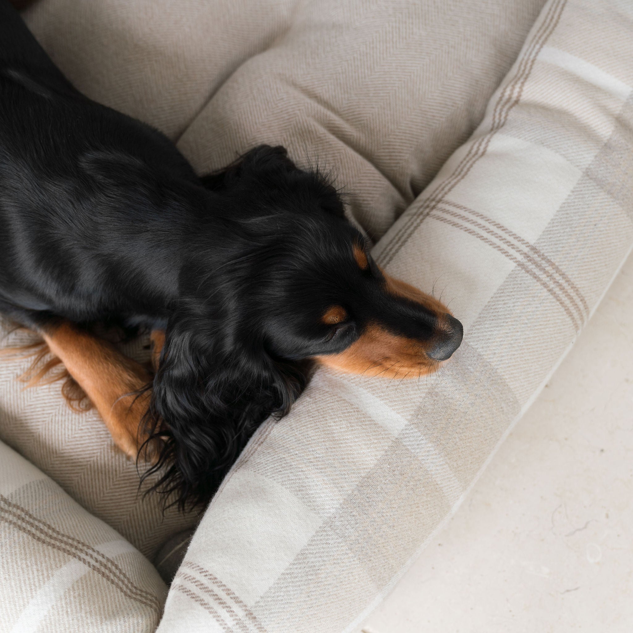 Cozy Box Bed | Dog Bed with Removable Cover & Soft Sides | Ultimate Comfort for Pets 4