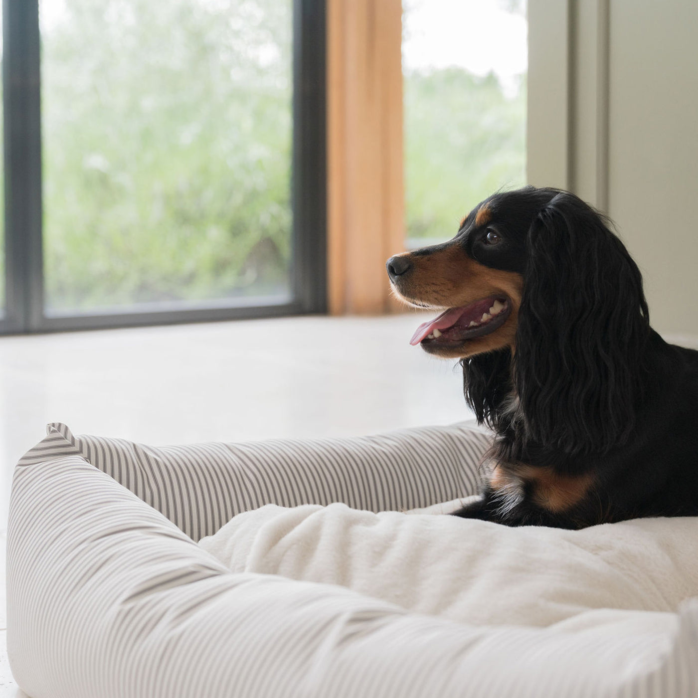 Cozy Box Dog Bed | Large Dog Bed with Removable Covers & Soft Sides for Ultimate Comfort 5