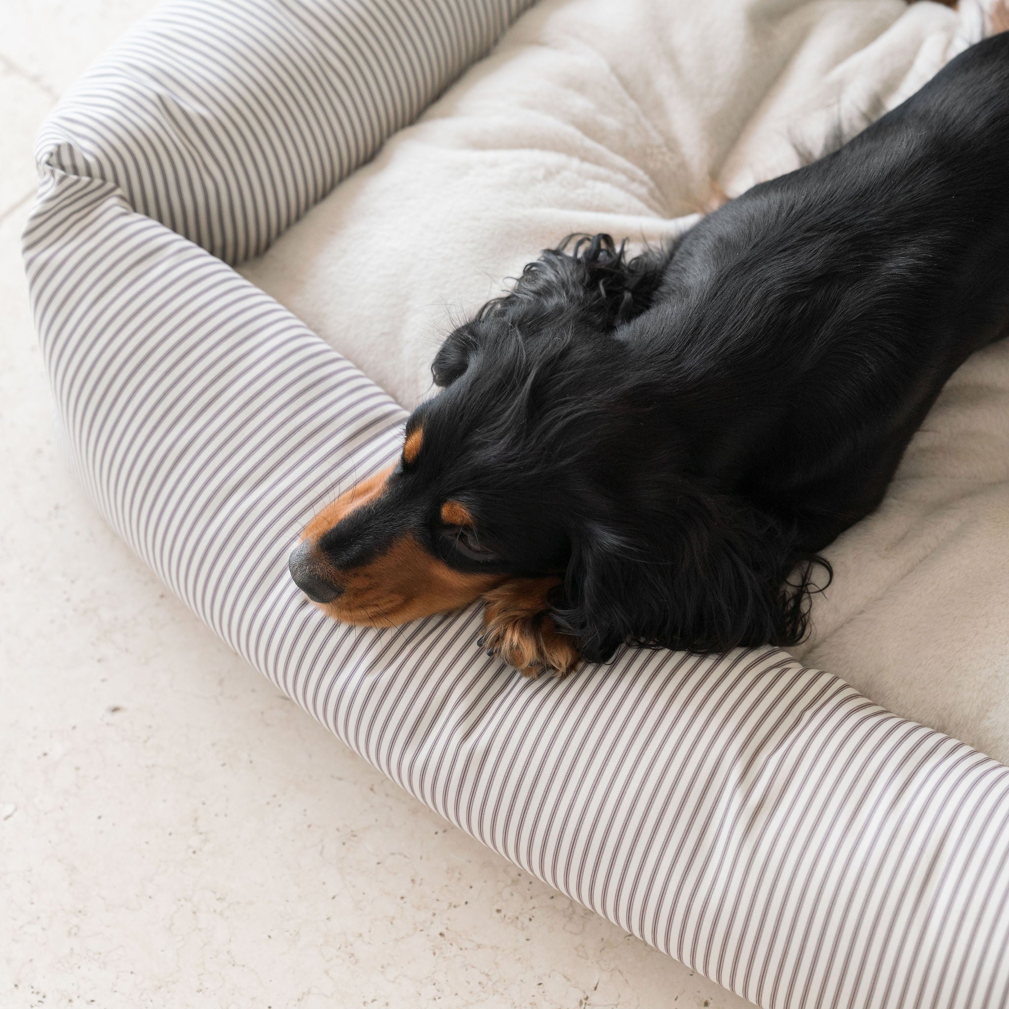 Cozy Box Dog Bed | Large Dog Bed with Removable Covers & Soft Sides for Ultimate Comfort 7