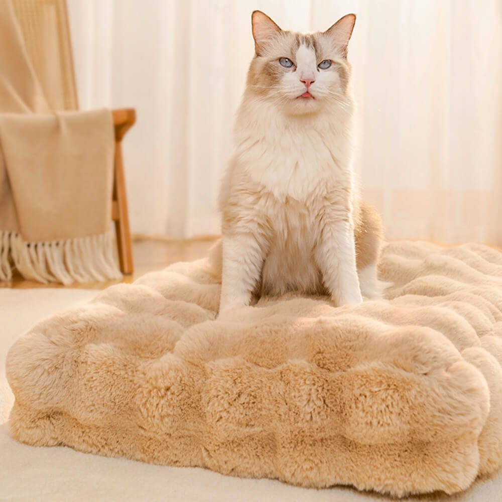 Cozy Haven | Ultra Soft Pet Mat with Stylish Wave Pattern | Multi-Purpose Comfort for Pets