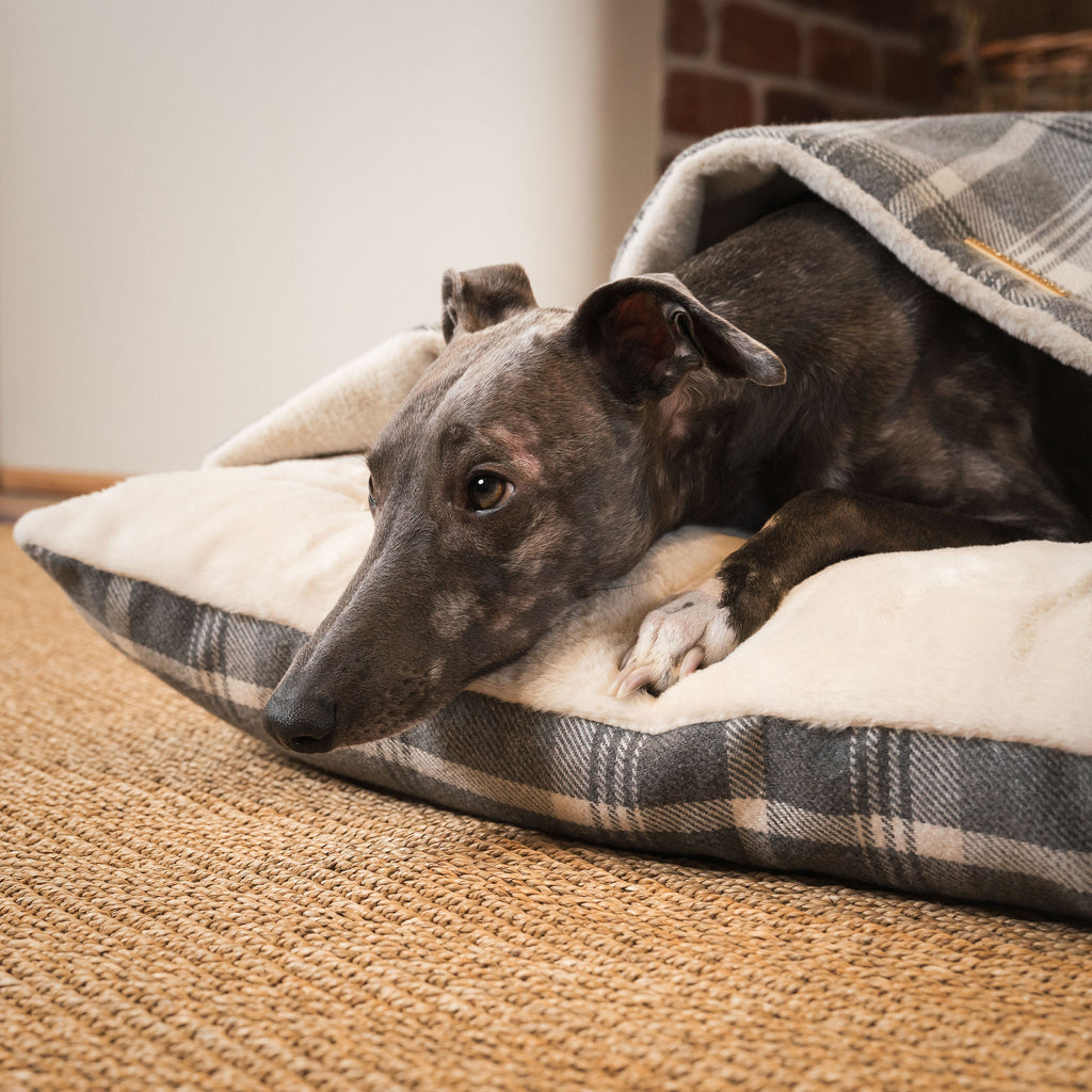 Cozy Pet Bed | Plush Dog Bed with Removable Cover for Ultimate Comfort 2