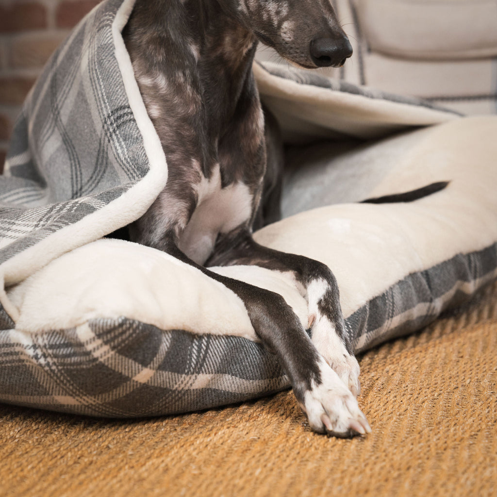 Cozy Pet Bed | Plush Dog Bed with Removable Cover for Ultimate Comfort 4