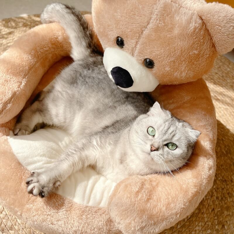 Cuddle Bear Cat Bed – Plush Round Bed with a Detachable Bear Companion - view 5