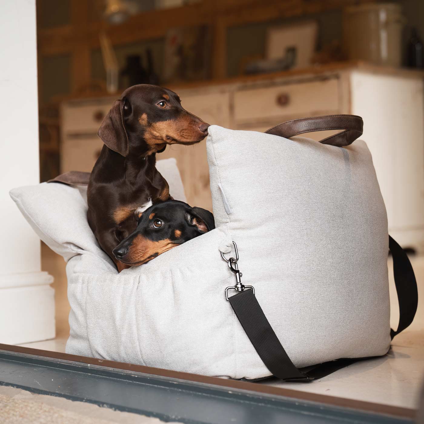 Easy Traveller in Slate by Lords & Labradors 3