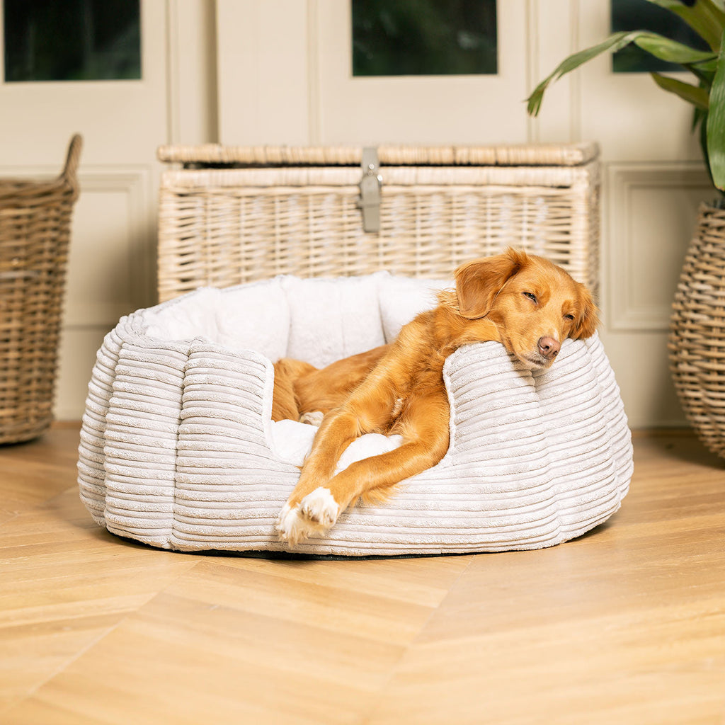 Essentials | Dog Bed with Plush Fabric & Removable Covers | Cozy Rest for All Dogs 0