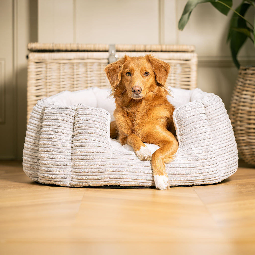 Essentials | Dog Bed with Plush Fabric & Removable Covers | Cozy Rest for All Dogs 2