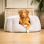 Plush Dog Bed with Removable Washable Cover – Light Grey