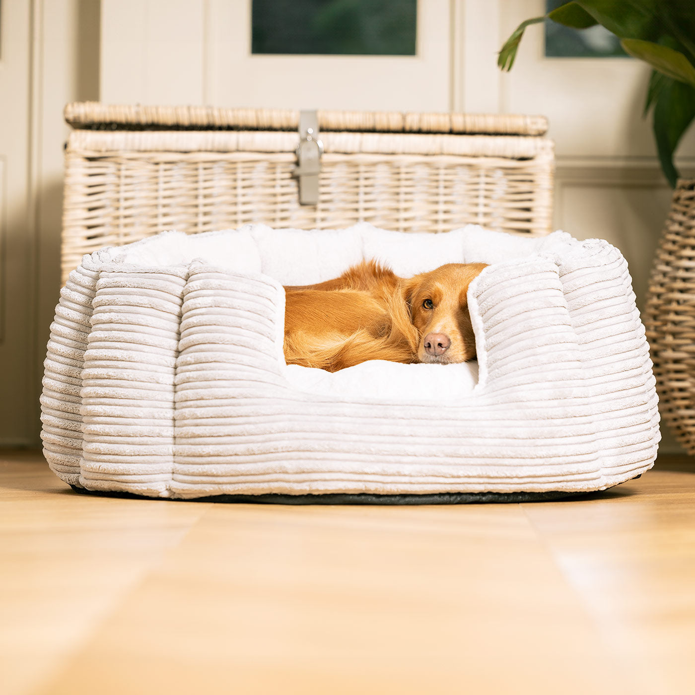 Essentials | Dog Bed with Plush Fabric & Removable Covers | Cozy Rest for All Dogs 3