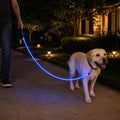 NightGlow LED Light-Up Dog Leash for Night Walks - USB Rechargeable Safety Leash That Helps Your Dog Stay Visible in the Dark