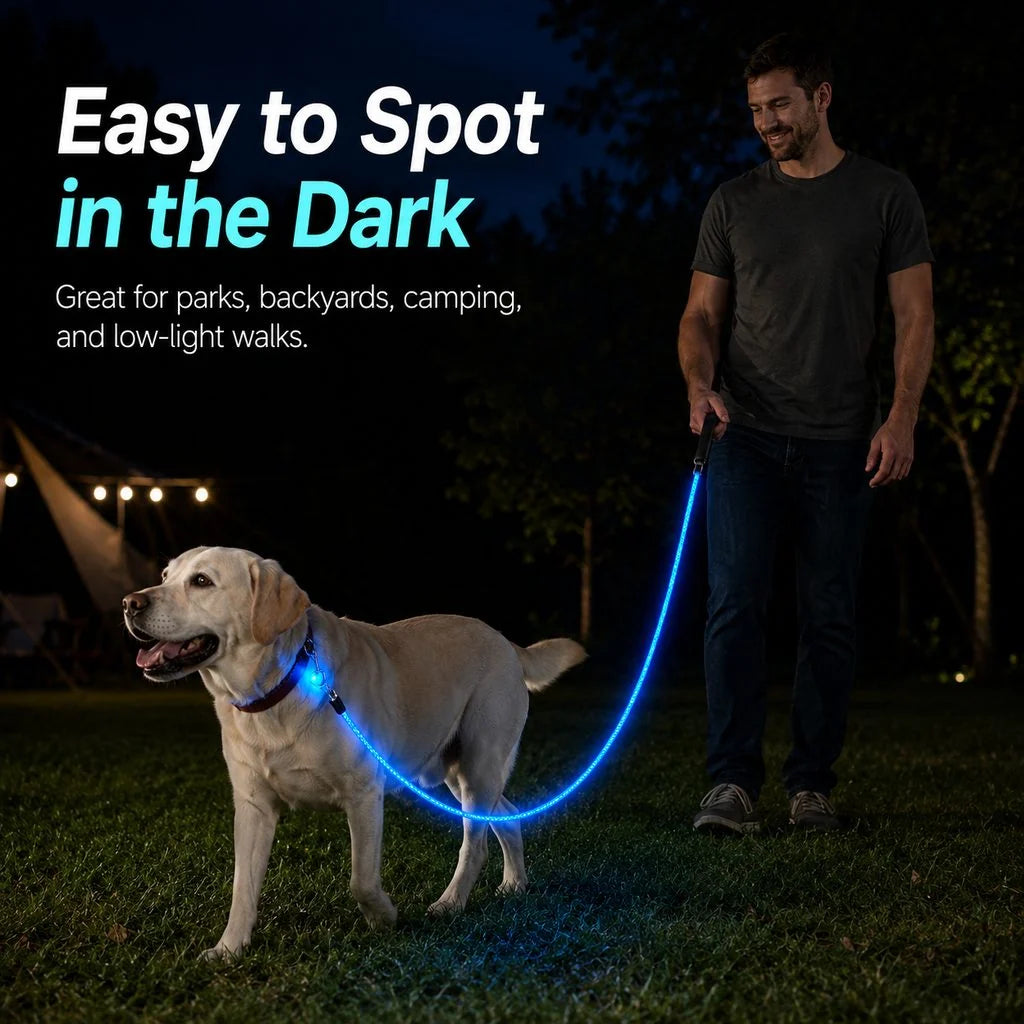 NightGlow LED Light-Up Dog Leash for Night Walks - USB Rechargeable Safety Leash That Helps Your Dog Stay Visible in the Dark
