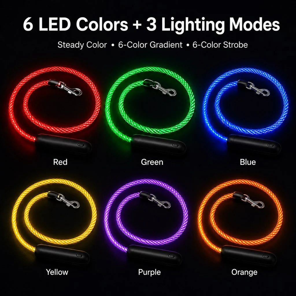 NightGlow LED Light-Up Dog Leash for Night Walks - USB Rechargeable Safety Leash That Helps Your Dog Stay Visible in the Dark