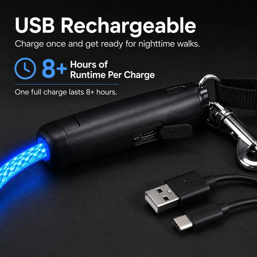 NightGlow LED Light-Up Dog Leash for Night Walks - USB Rechargeable Safety Leash That Helps Your Dog Stay Visible in the Dark