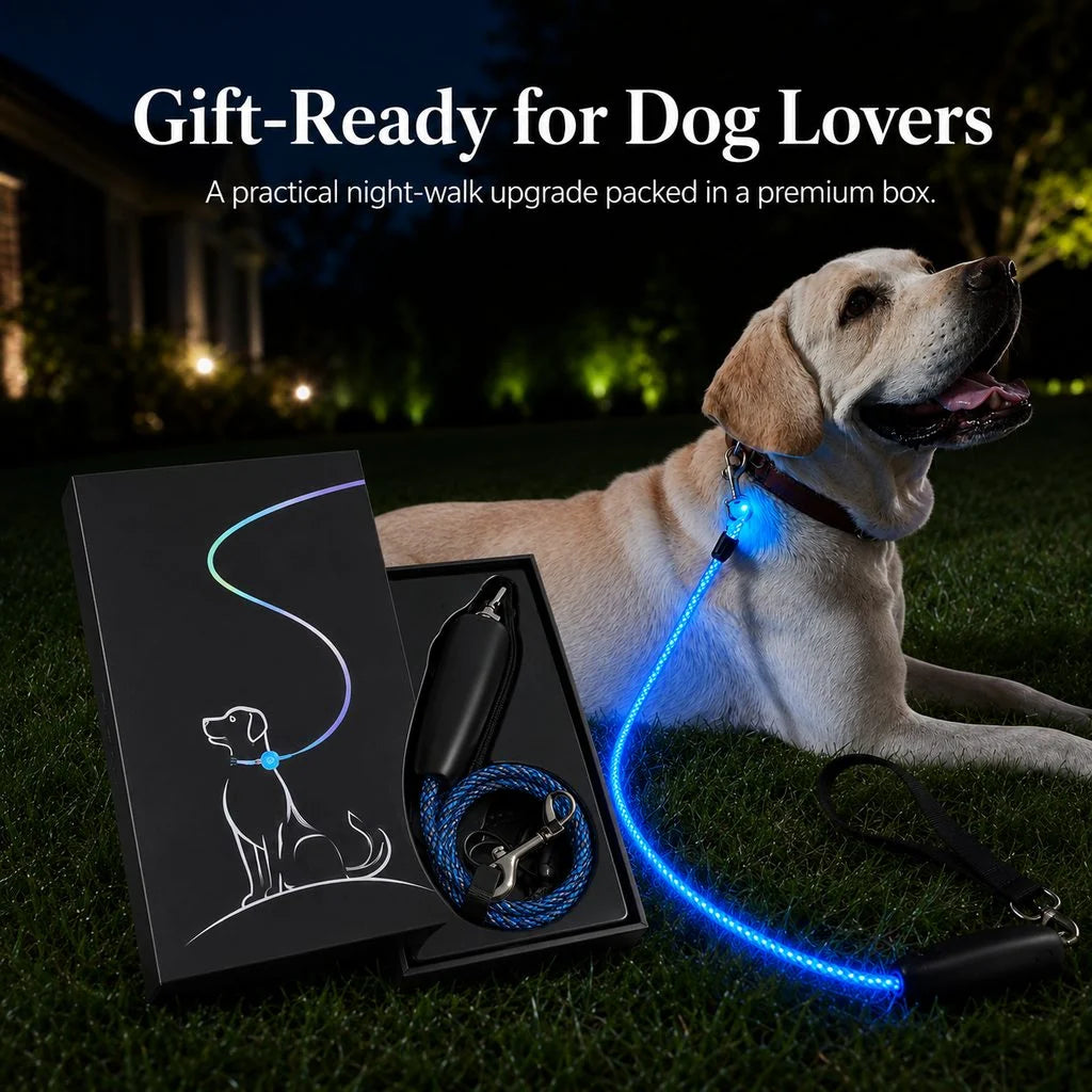 NightGlow LED Light-Up Dog Leash for Night Walks - USB Rechargeable Safety Leash That Helps Your Dog Stay Visible in the Dark