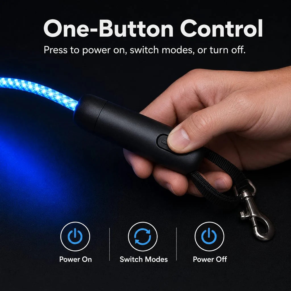 NightGlow LED Light-Up Dog Leash for Night Walks - USB Rechargeable Safety Leash That Helps Your Dog Stay Visible in the Dark
