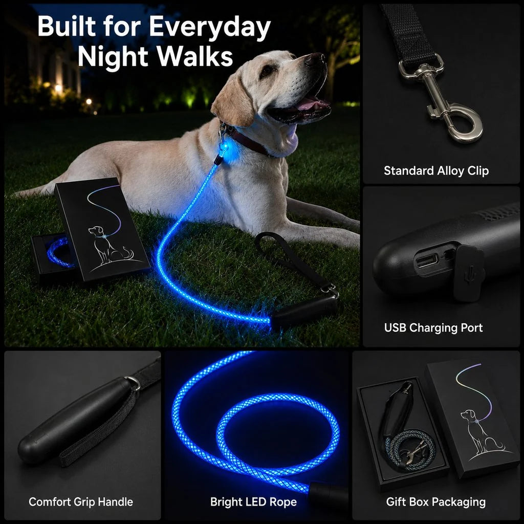 NightGlow LED Light-Up Dog Leash for Night Walks - USB Rechargeable Safety Leash That Helps Your Dog Stay Visible in the Dark