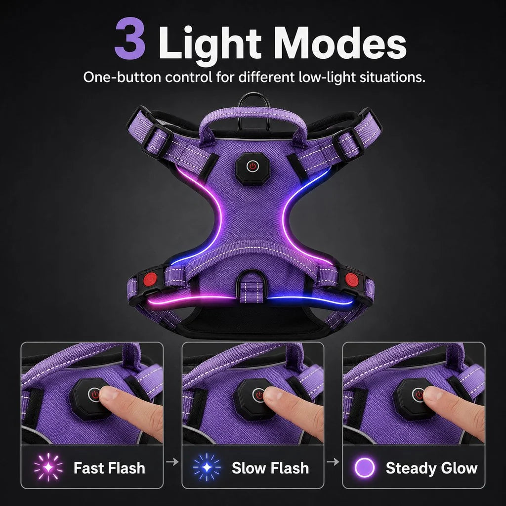 Rechargeable LED Dog Harness for Night Walks - Back-Panel Glow & Reflective Webbing for Better Low-Light Visibility