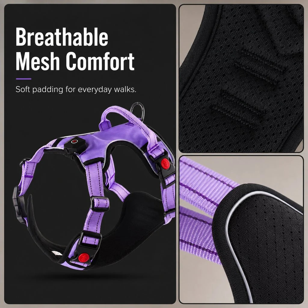 Rechargeable LED Dog Harness for Night Walks - Back-Panel Glow & Reflective Webbing for Better Low-Light Visibility