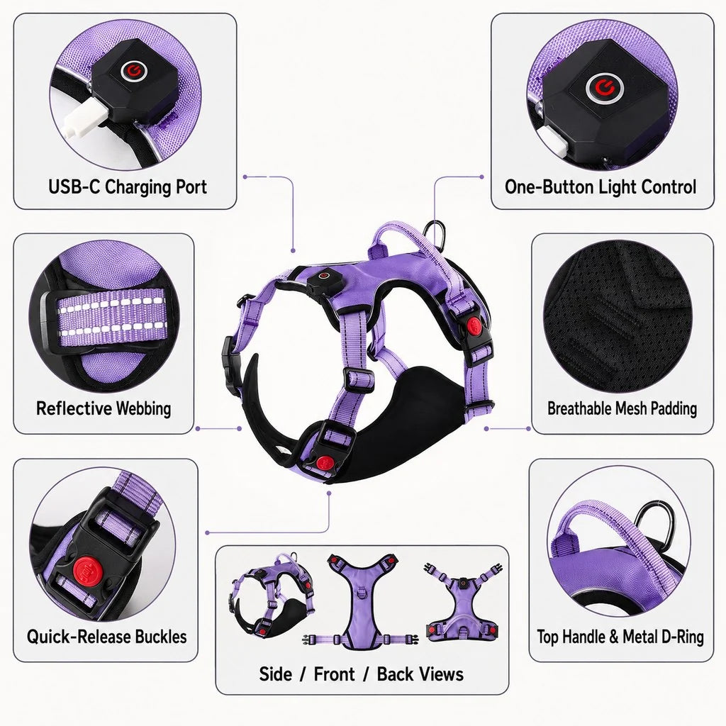 Rechargeable LED Dog Harness for Night Walks - Back-Panel Glow & Reflective Webbing for Better Low-Light Visibility