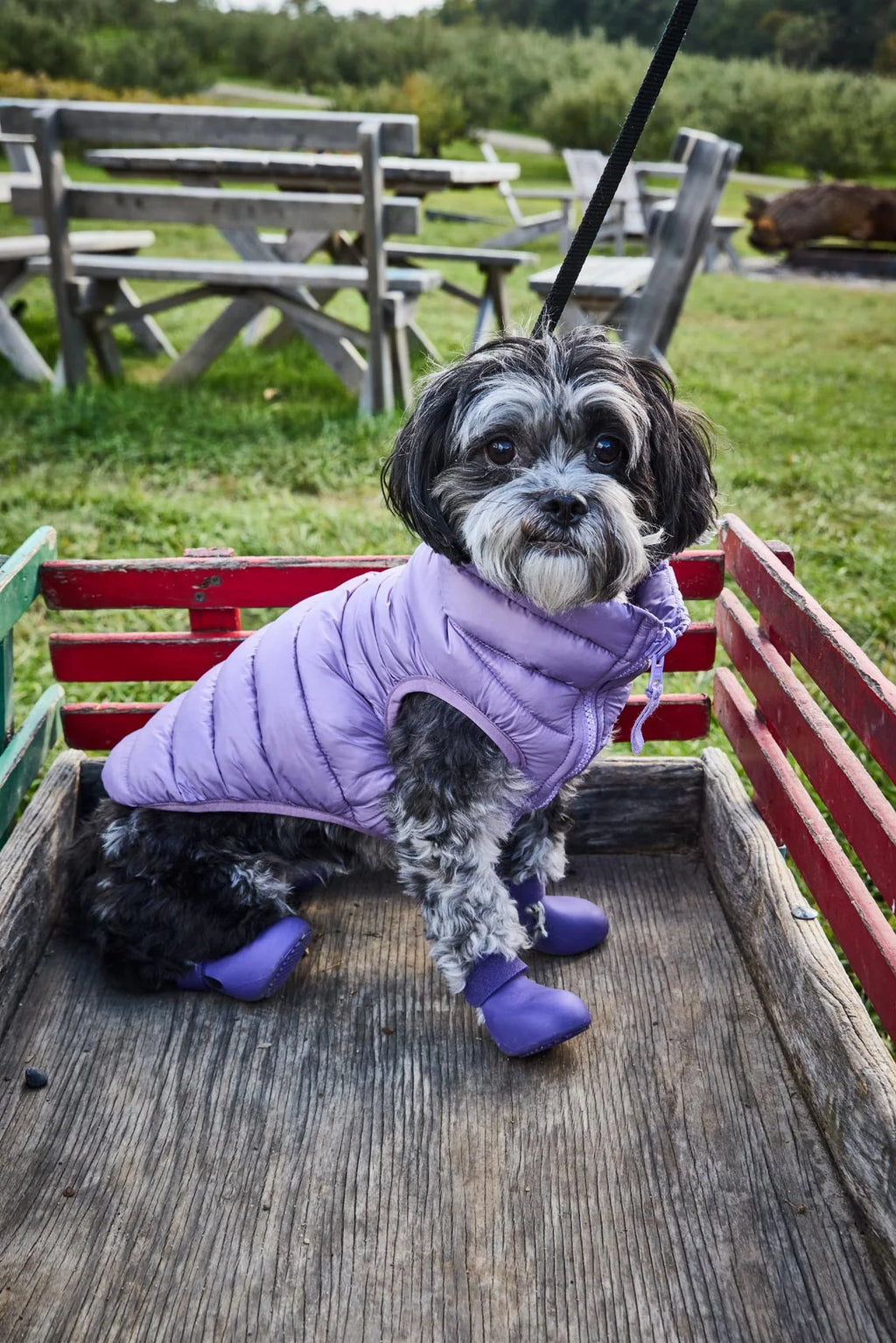 Puffer Vests: New Colors