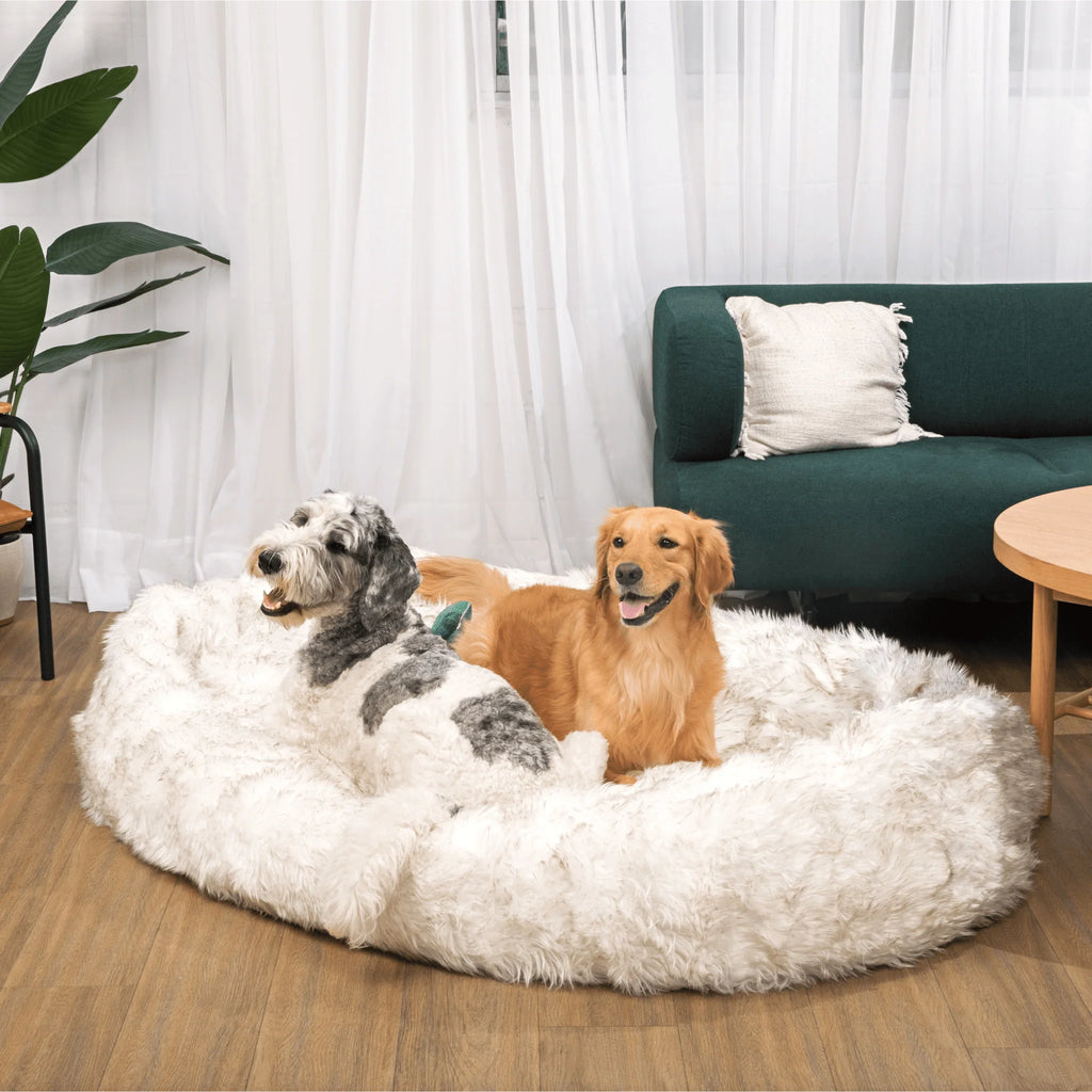 Human-Size Faux Fur Memory Foam Dog Bed - White with Brown Accents
