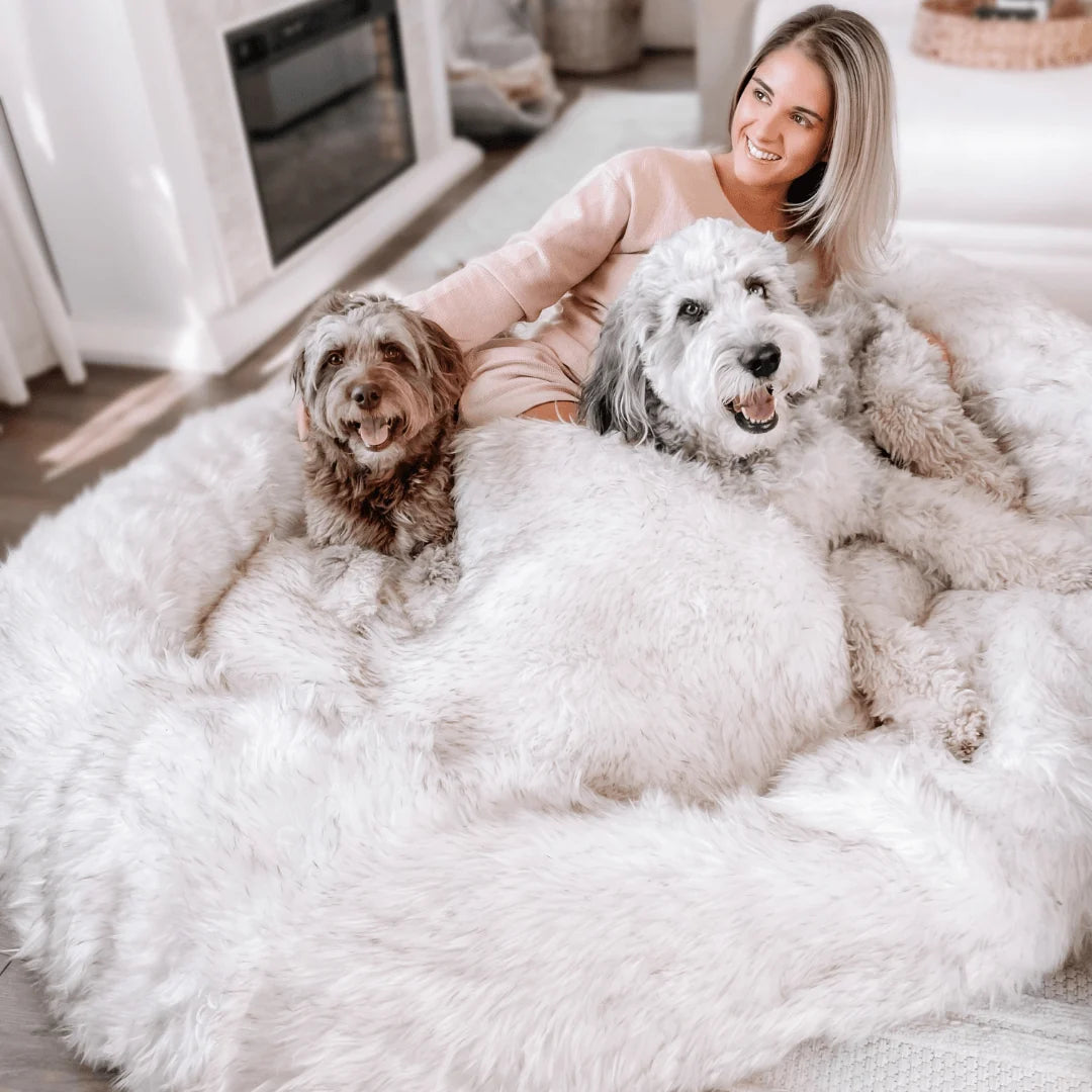 Human-Size Faux Fur Memory Foam Dog Bed - White with Brown Accents