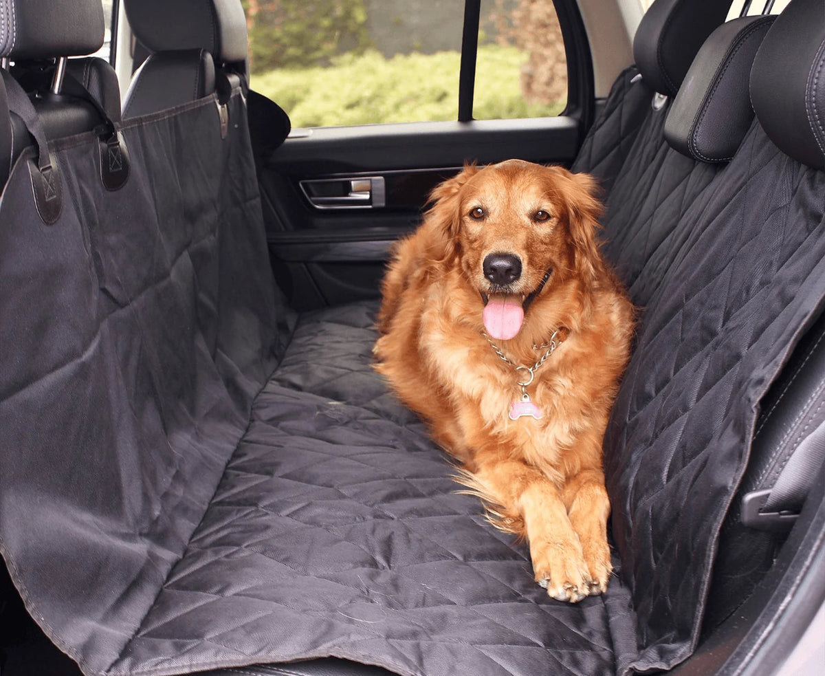 Back Seat Dog Car Cover