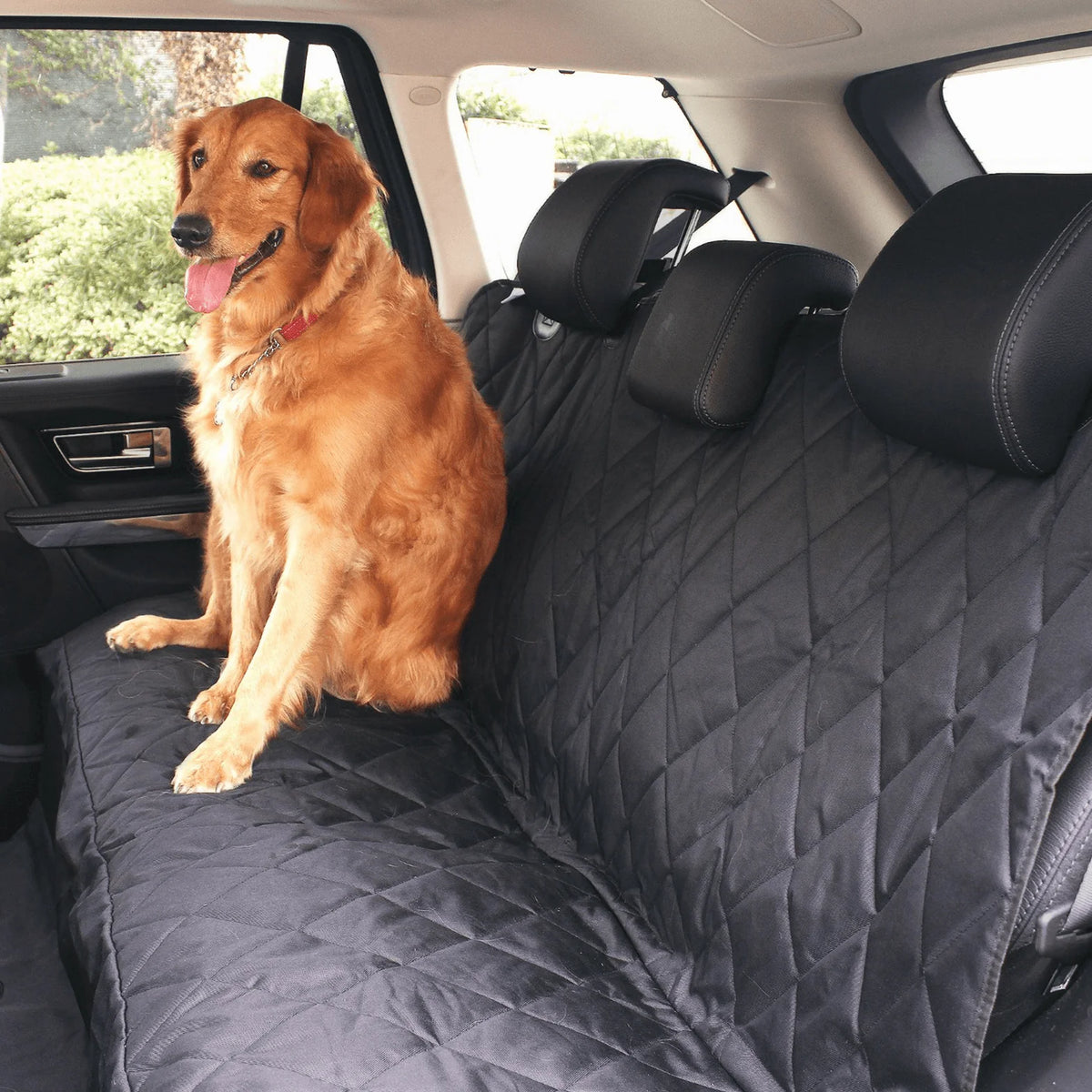 Back Seat Dog Car Cover