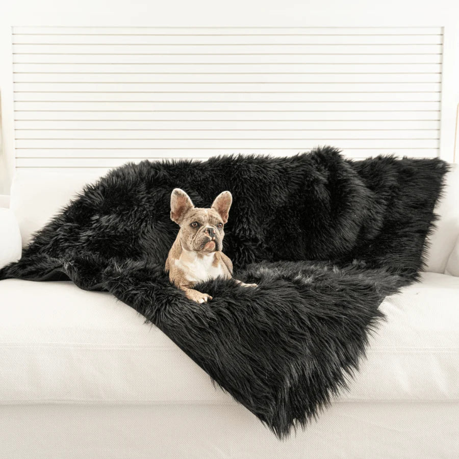 Waterproof Throw Blanket - Midnight Black
