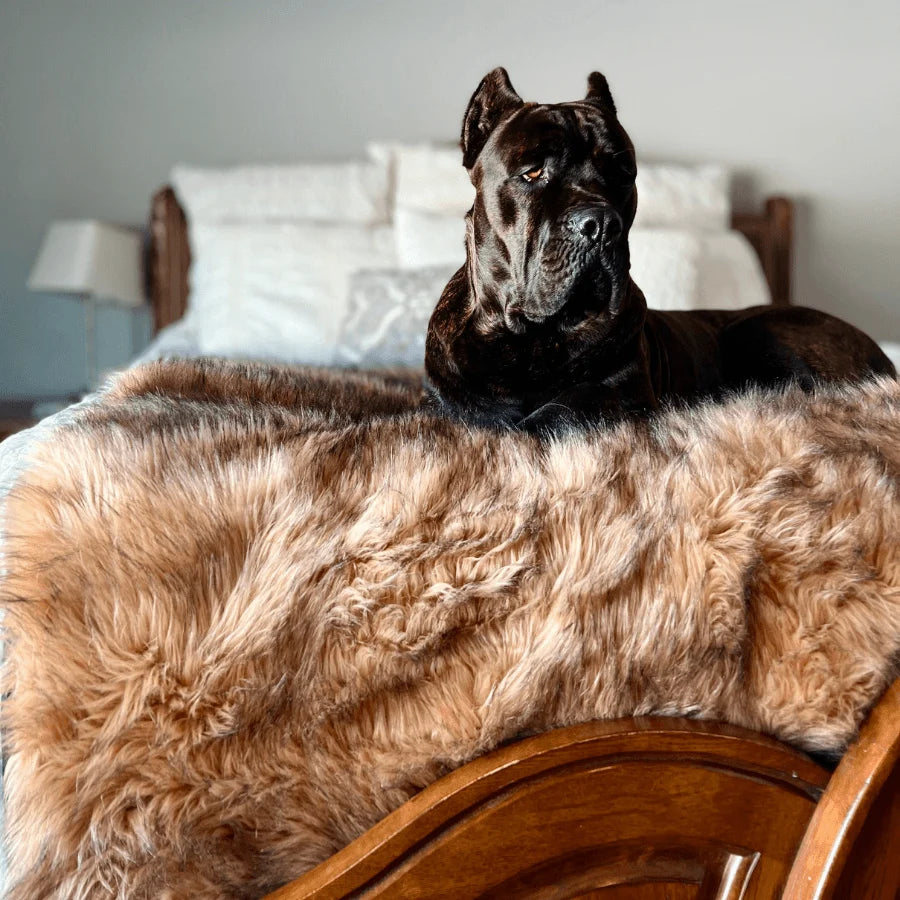 Waterproof Throw Blanket - Sable Tan